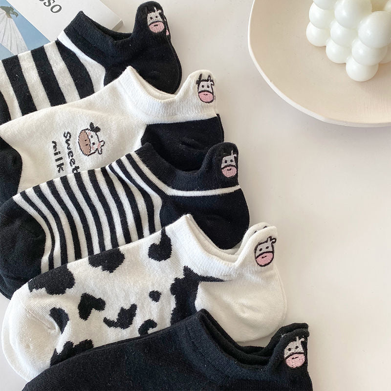 Assorted Cow Socks